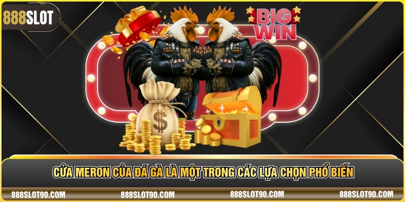 Cửa meron của đá gà là một trong các lựa chọn phổ biến
