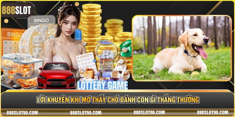 Lời khuyên khi mơ thấy chó đánh con gì thắng thưởng