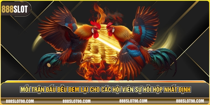 Mỗi trận đấu đều đem lại cho các hội viên sự hồi hộp nhất định
